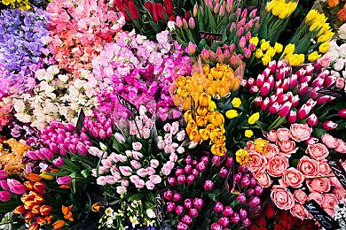 《真女神转生5》恶魔介绍：72柱魔神之一安德拉斯